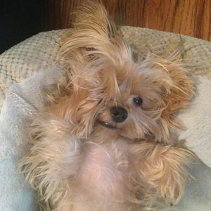 Meet your Posher, Zaida